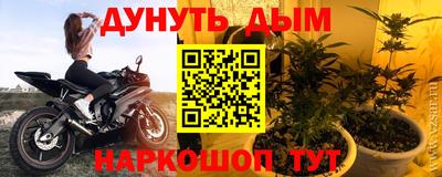 СК Донецк