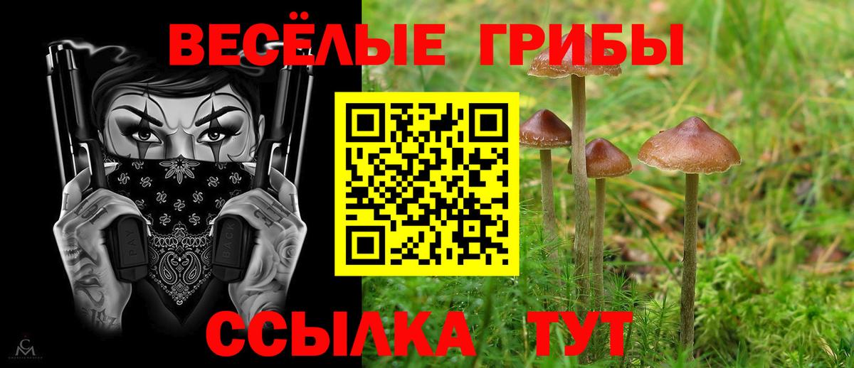 Галлюциногенные грибы MAGIC MUSHROOMS  Вход с VPN  Лесозаводск 